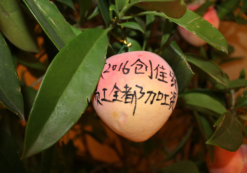 中天事業(yè)機(jī)構(gòu)喜迎猴年年終盛典圓滿結(jié)束